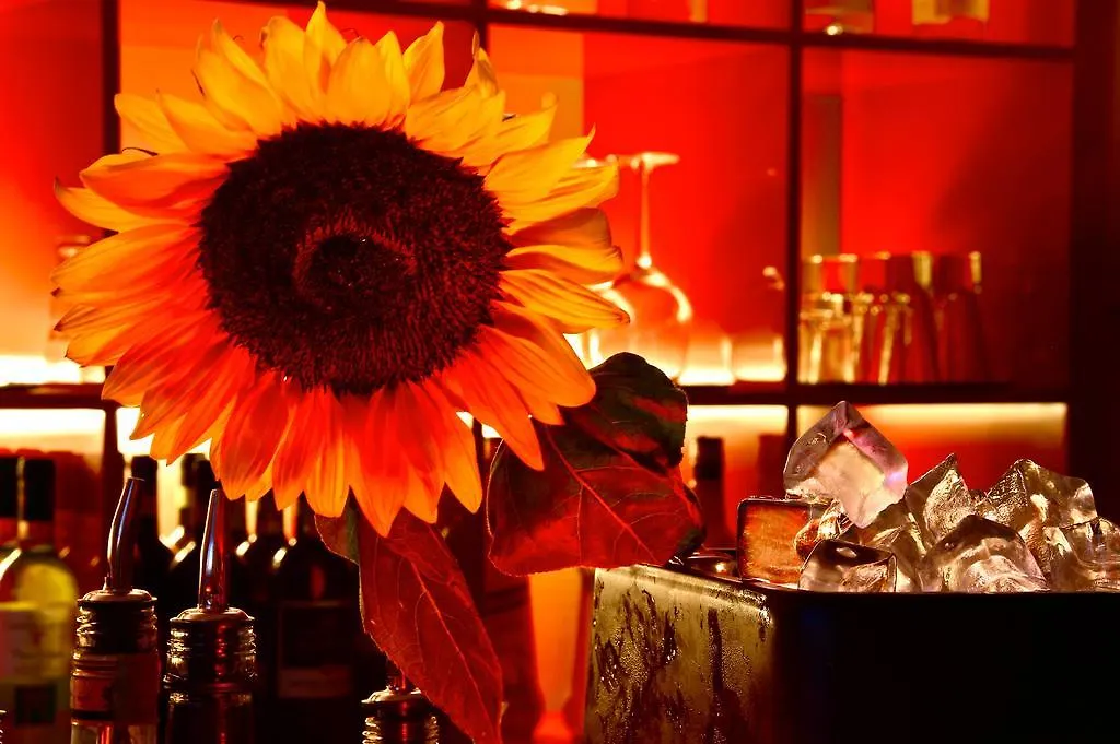 Eurhotel Firenze Hotel